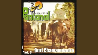 Video thumbnail of "Grupo Pantanal - Lagoa Branca (Medo de Perder Você)"