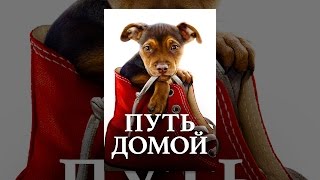 Путь Домой