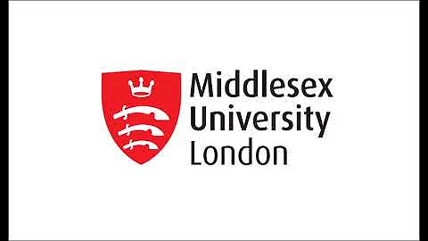 Doing Doctoral Research: Prof Bill Schabas, Diane Amann, Andrew Clapham & PhD students Middlesex Uni