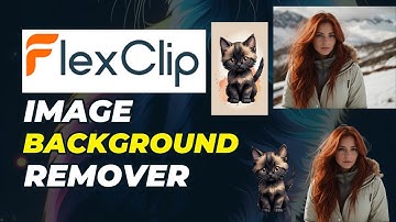 How to Use FlexClip AI Image Background Remover
