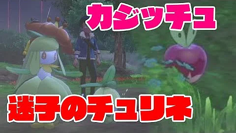 カジッチュ場所