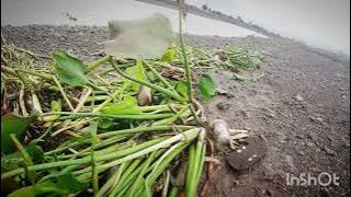 Aaaah  Steve Mweusi ( Music video)