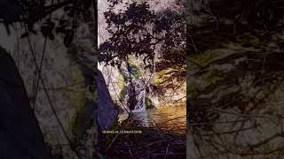 F La Tune - Hayat Pınarı