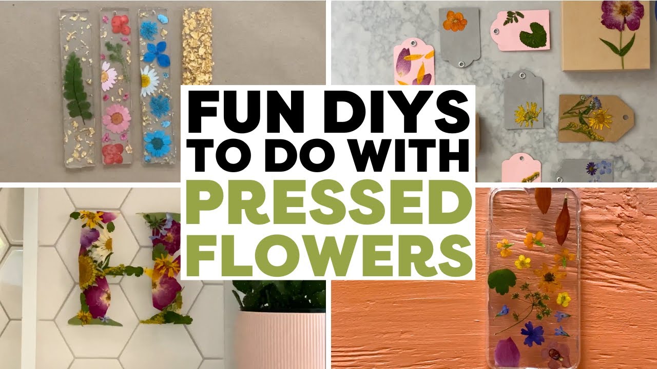 Try These Fun Pressed Flower DIYs! 🌸🌼