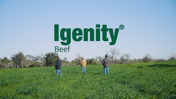 Igenity Beef – Genomics for Cattle Producers