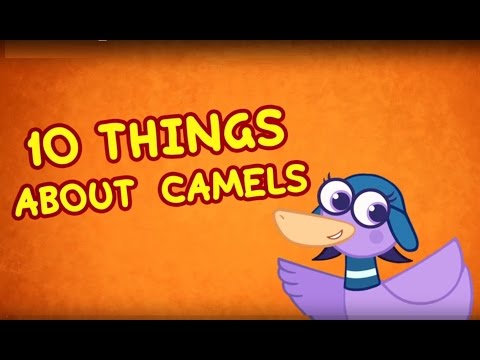 10 things about