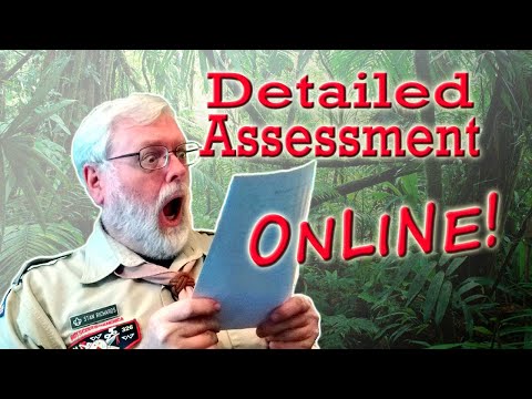 Scout Unit Detailed Assessment Online