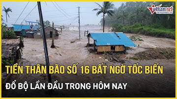 Nóng: Tiền thân bão số 16 bất ngờ tốc biến ở Biển Đông, gió giật 55km/h, nguy cơ đổ bộ trong hôm nay