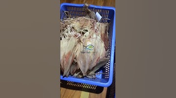 Mực Khô phơi tại tàu đây ạ 😎
