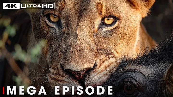 World's Deadliest MEGA EPISODE 2025 | Nature Animal Documentary