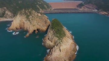 BRAIN CALMING MUSIC -  Nerve Regeneration & Stress Relief || Brain Wave Therapy Music