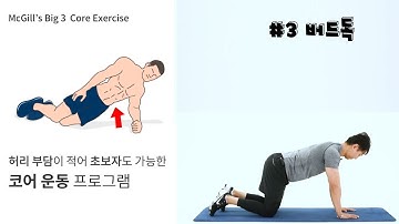 플랭크만 코어 운동이 아니다. 맥길 빅3 코어 #3 버드독