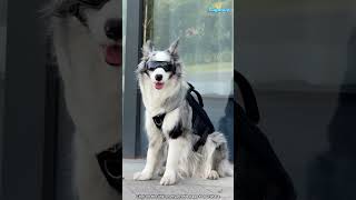 In One Word Cool The Link To The Same Outfit Is In My Bio