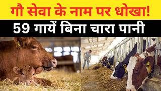 गौ रक्षा के नाम पर खेल, जमीनी हकीकत बेहद खराब.. screenshot 4