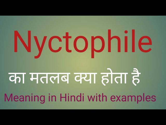 Nyctophile meaning l meaning of nyctophile l nyctophile ka matlab Hindi mein l meaning l vocabulary class=