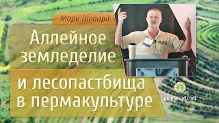 Аллейное земледелие и лесопастбища в пермакультуре! Марк Шепард