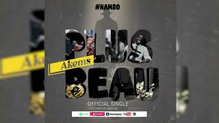 AKEMS - Plus Beau  Visualizer  #nambo -