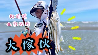 灘釣大花身雞魚、石鱸、沙梭、刺龜、成仔丁 