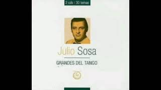 Julio Sosa "Destellos"