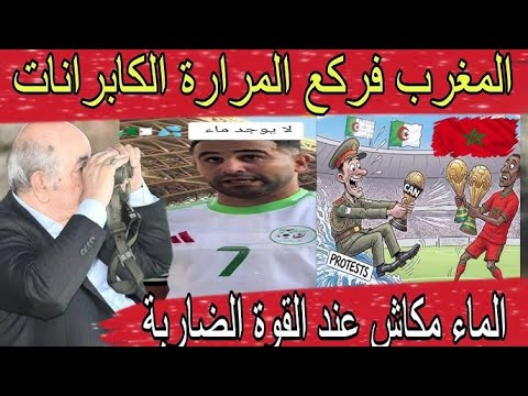 االجزائربغاويخاسمونا مع مصرشفواش قالو      