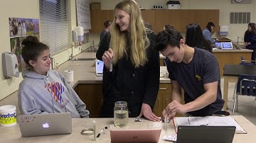 Removing Barriers to Effective Teaching & Learning with Schoology