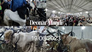 Deonar bakra Mandi | Day 2 live| 19/06/2023  #bakar #deonarmandi #andul #deonarbakramandi