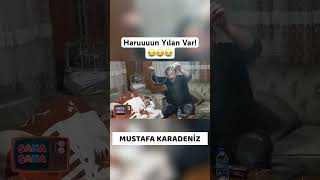 Haruuuun Yılan Var Şakası