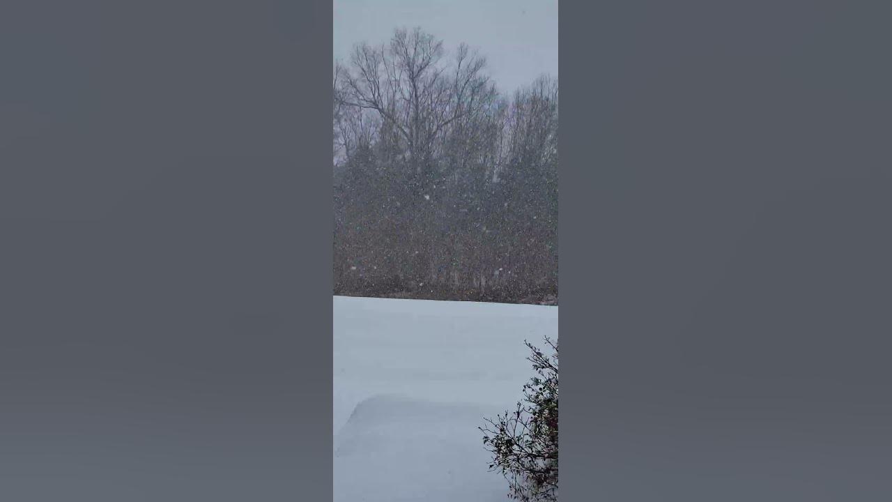 Tormenta invernal 2025. tormentainvernal torme YouTube