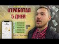 ЯНДЕКС ДОСТАВКА. Сколько заработал за 5 дней? Москва