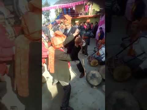 Pahadi Naati At Joginder Nagar