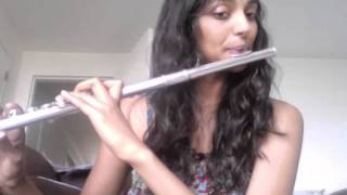 Who Says - Selena Gomez Flute cover