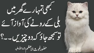 Billi Ky Rony Ki Awaz Ay samjh jao 2 chezein (Understand the sound of the cat crying) - Urdu Story