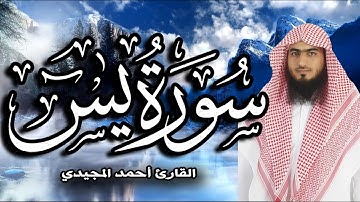 سورة (يس) كاملة من محراب الفجر | ترتيل خاشع بصوت القارئ: أحمد المجيدي