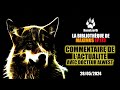 La bibliothque de  maximus ep173  commentaire de lactualit avec dr alwest  28052024