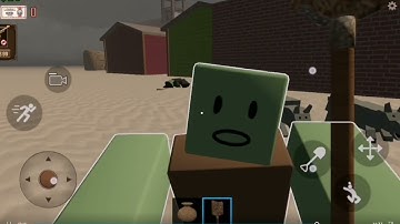 I played temu dead rails