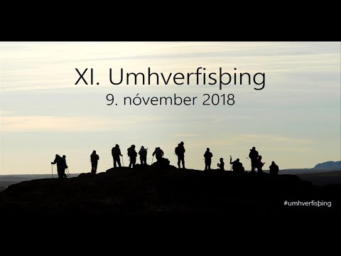 XI. Umhverfisþing