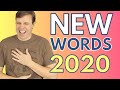 NEW WORDS from 2020 | Vocabulary Year in Review
