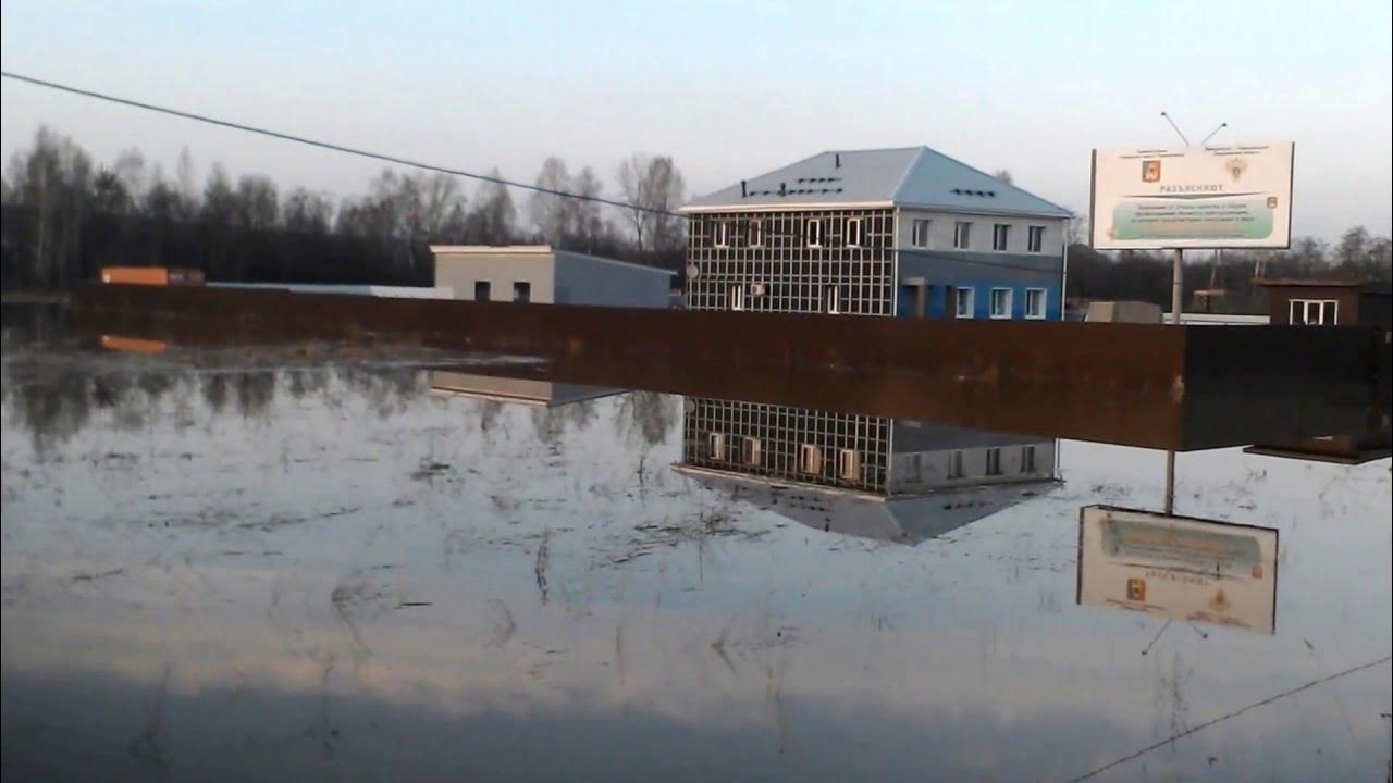 Битимка свердловская обл леса. Река битимка свердловская область. Битимка. Битимка свердловская обл. Битимка свердловская область.