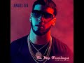 Anuel AA - In my Feelings (Versión en Español)