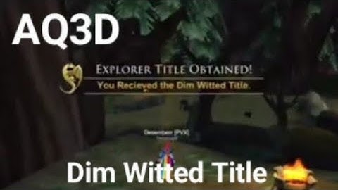 AQ3D DIM WITTED TITLE
