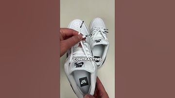 Panda vs Reverse Panda SB Dunks🐼