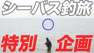Download Lagu 《10万人特別企画》釣れば釣るほど豪華景品が当たるガチシーバス実釣! MP3 Download Lagu 《10万人特別企画》釣れば釣るほど豪華景品が当たるガチシーバス実釣! MP3