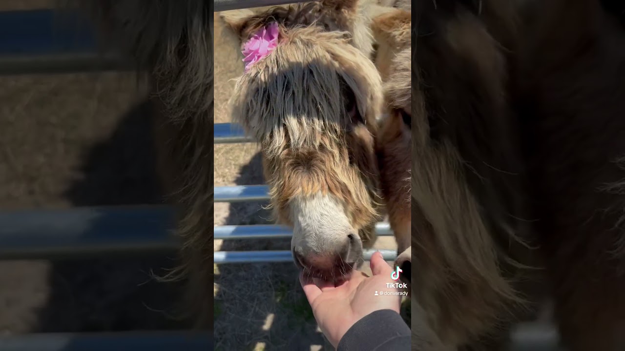 This place is heaven on earth to me. The outside world almost disappears when I’m out here.