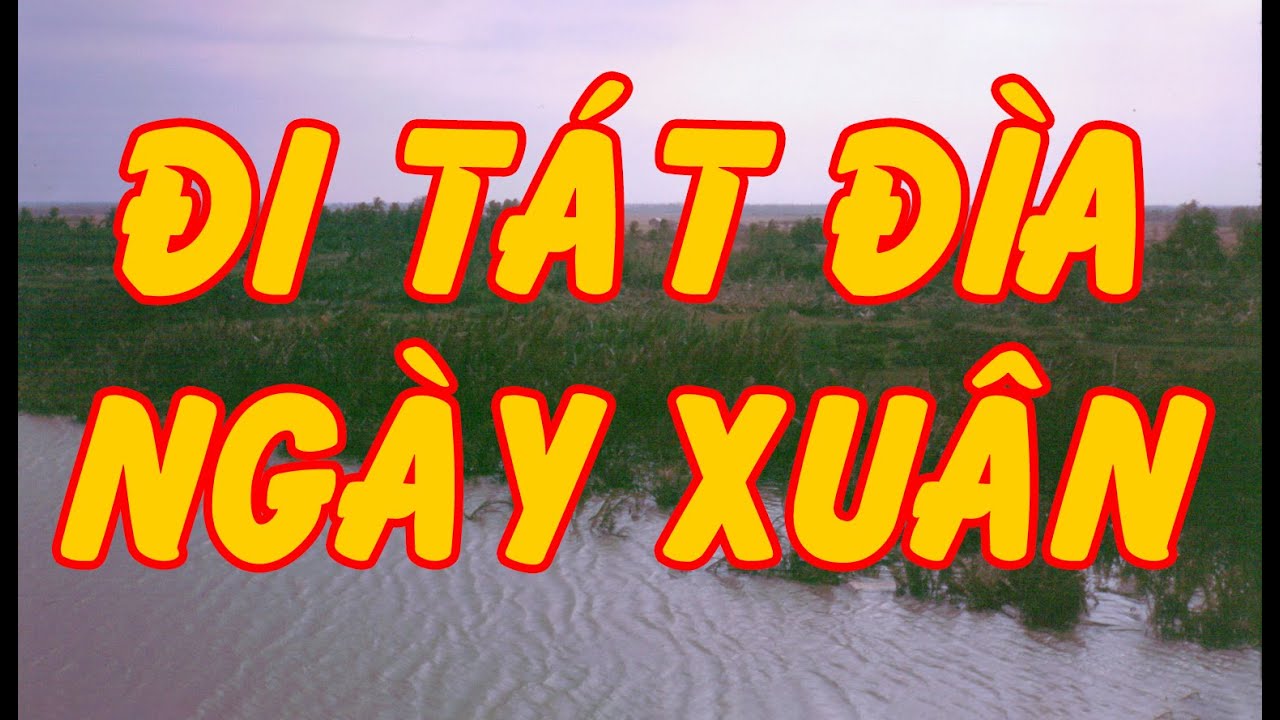 Hồi Ký Miền Nam | Đi Tát Đìa Ngày Xuân (Tân Ngố)