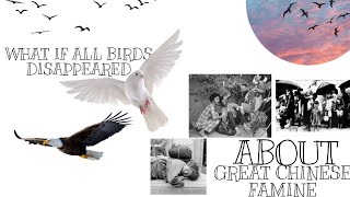 What if all birds disappeared? (explained) about great Chinese famine