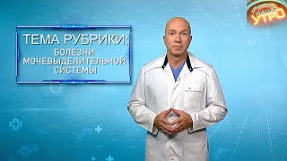 картинка: МОЧЕВЫДЕЛИТЕЛЬНАЯ СИСТЕМА — болезни и проблемы | Формула здоровья