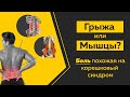 Боль в спине, отдает в ногу. Как не спутать грыжу с болью в мышцах? Техники и приемы.