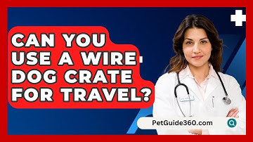 Can You Use A Wire Dog Crate For Travel? - PetGuide360.com