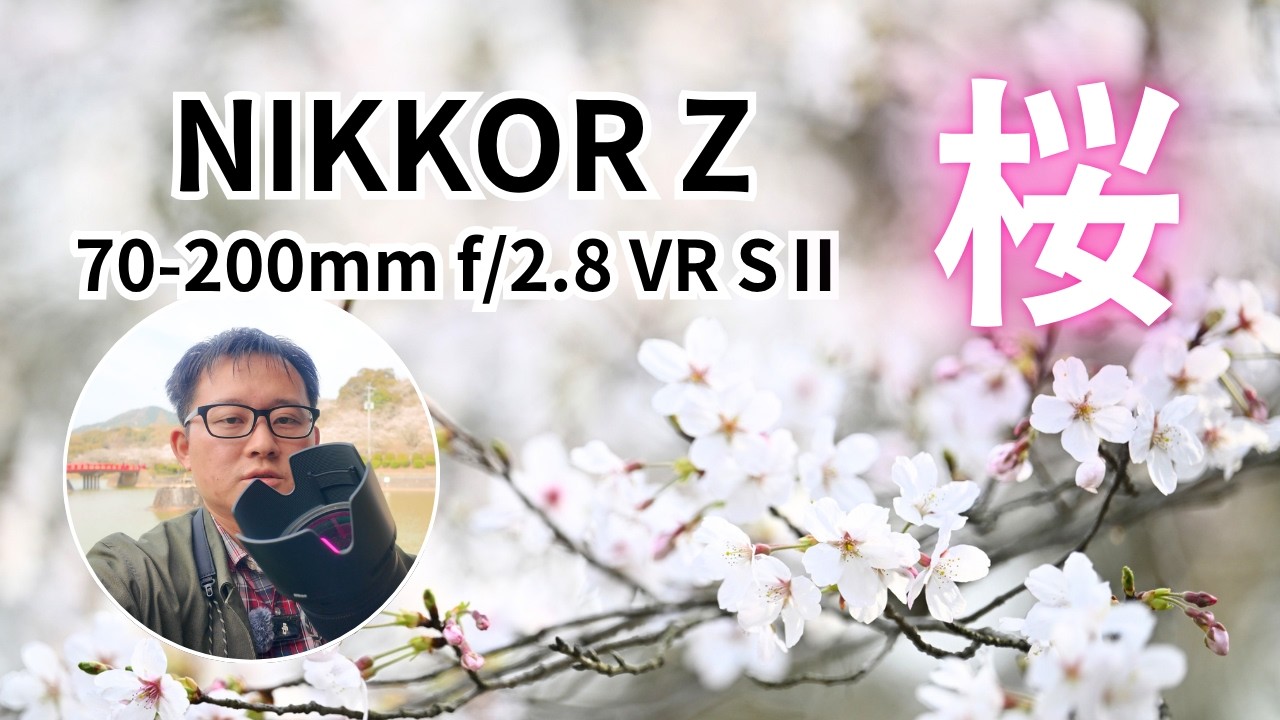 Cherry blossoms photographed with Z8 × NIKKOR Z 70-200mm f/2.8 VR