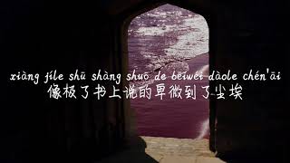 【置身事外-尹昔眠】ZHI SHEN SHI WAI-YUN XI MIAN /TIKTOK,抖音,틱톡/Pinyin Lyrics, 拼音歌词, 병음가사/No AD, 无广告, 광고없음